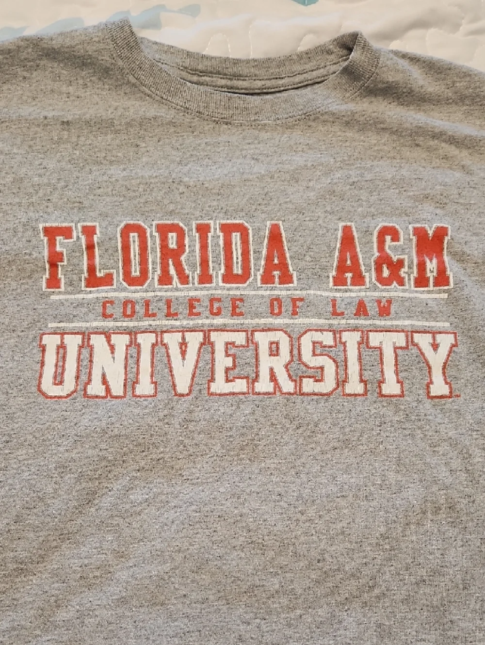 Champion Gray Short Sleeve Tee with Red & White Florida A&M University Print - Picture 2 of 6